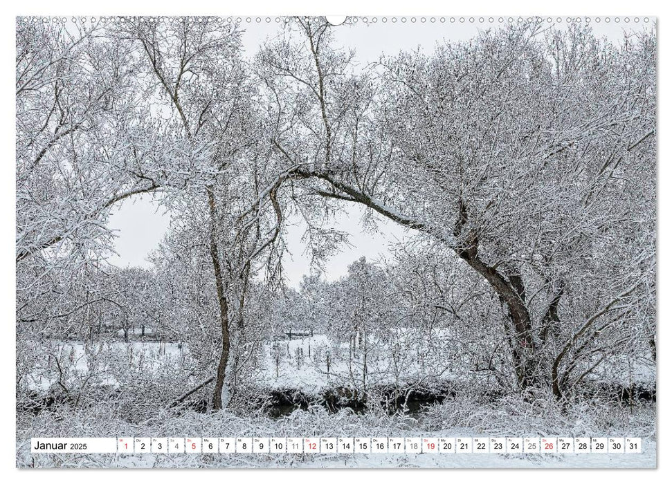 das etwas andere Erfurt (CALVENDO Wandkalender 2025)