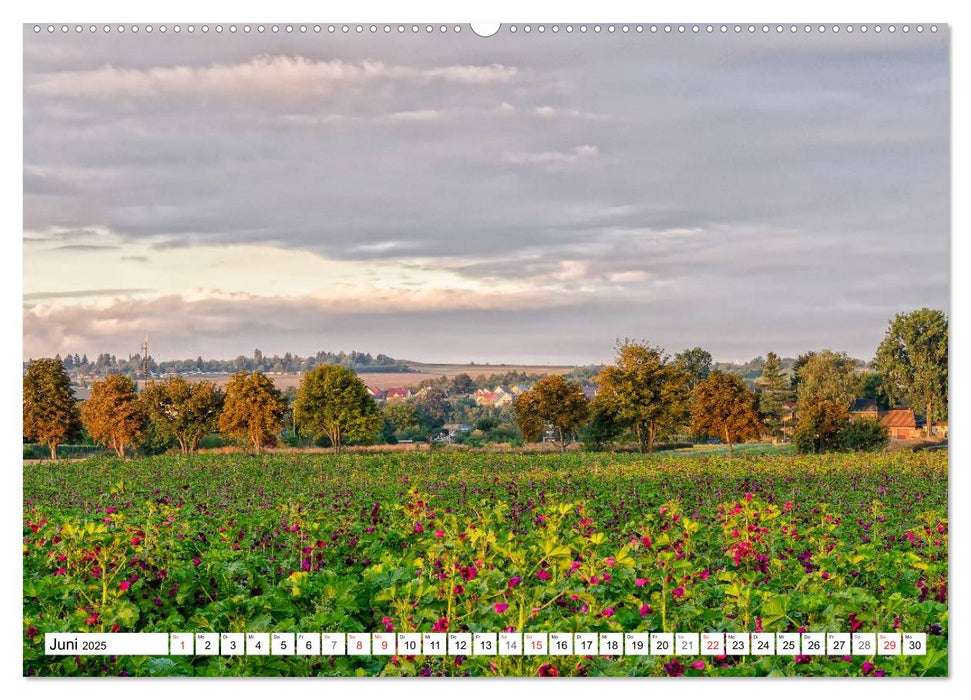 das etwas andere Erfurt (CALVENDO Wandkalender 2025)