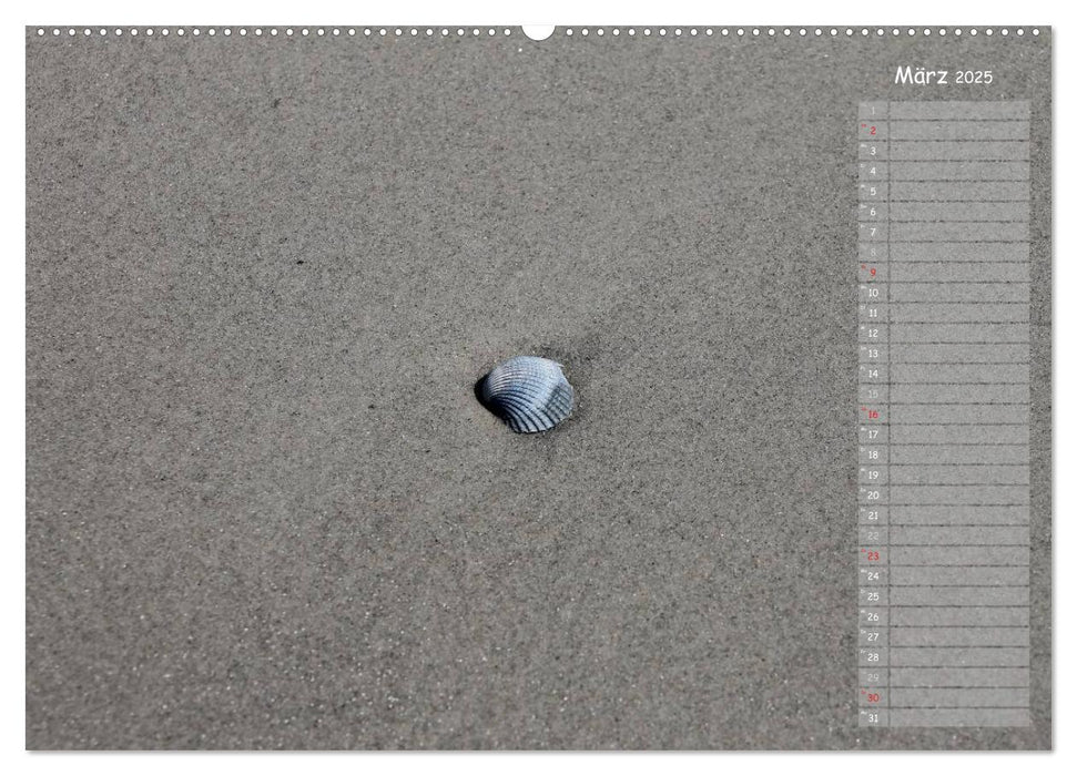 Strandspaziergang / Geburtstagskalender (CALVENDO Wandkalender 2025)