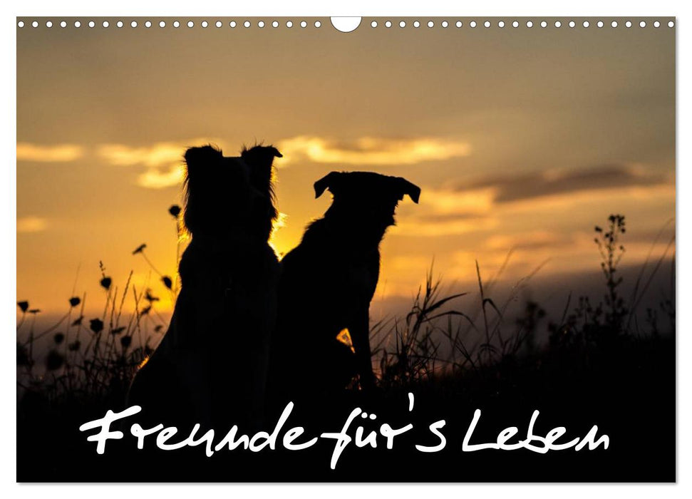 Hunde - Freunde für's Leben (CALVENDO Wandkalender 2025)