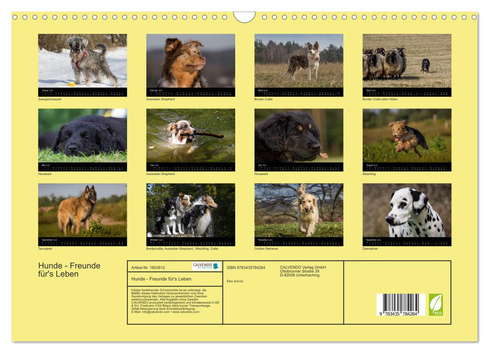 Hunde - Freunde für's Leben (CALVENDO Wandkalender 2025)