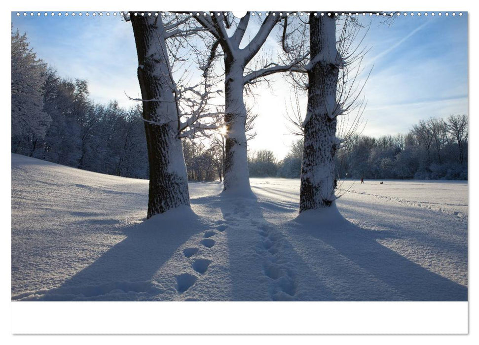 Farben der Natur (CALVENDO Premium Wandkalender 2025)