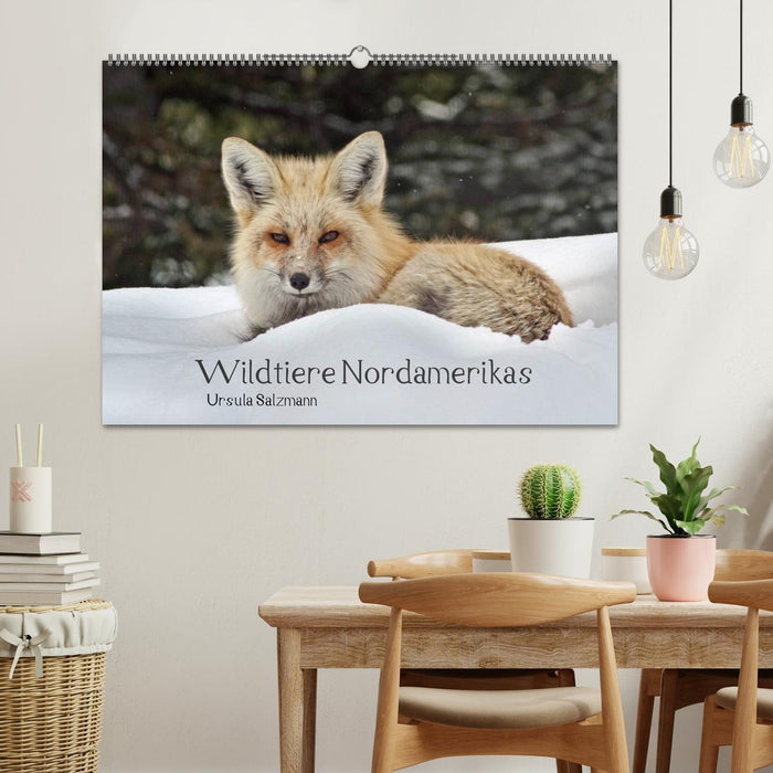 Wildtiere Nordamerikas (CALVENDO Wandkalender 2025)