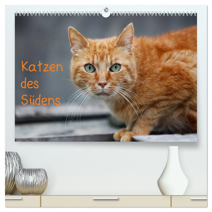 Katzen des Südens (CALVENDO Premium Wandkalender 2025)