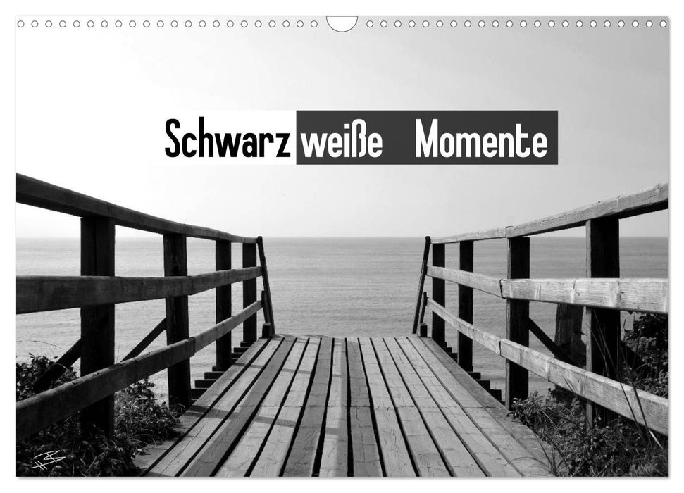 Schwarzweiße Momente (CALVENDO Wandkalender 2025)