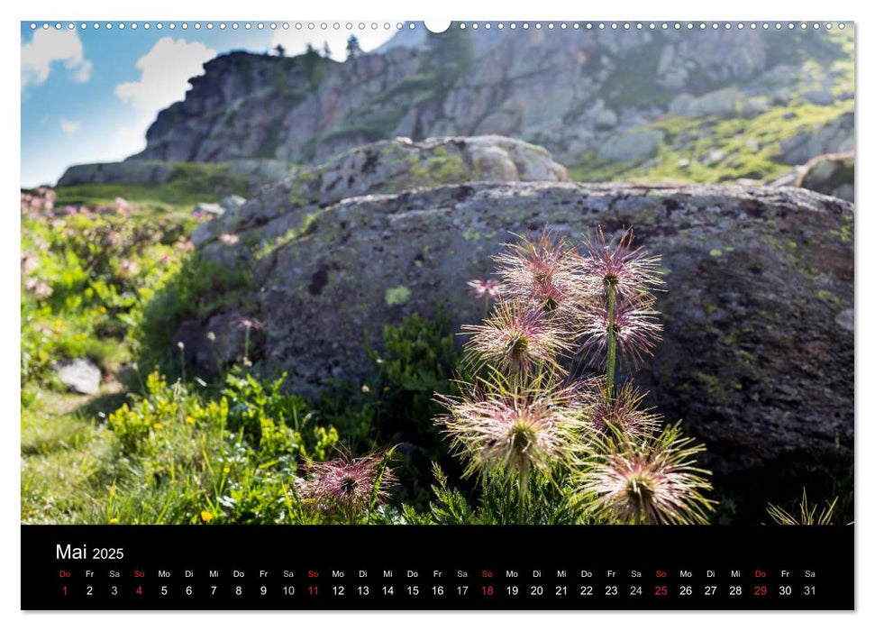 Grande Traversata delle Alpi - Wandern auf der GTA (CALVENDO Wandkalender 2025)