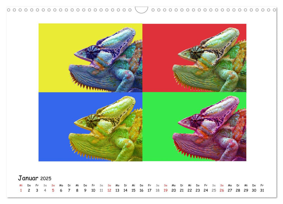 PopArt Animals (CALVENDO Wandkalender 2025)