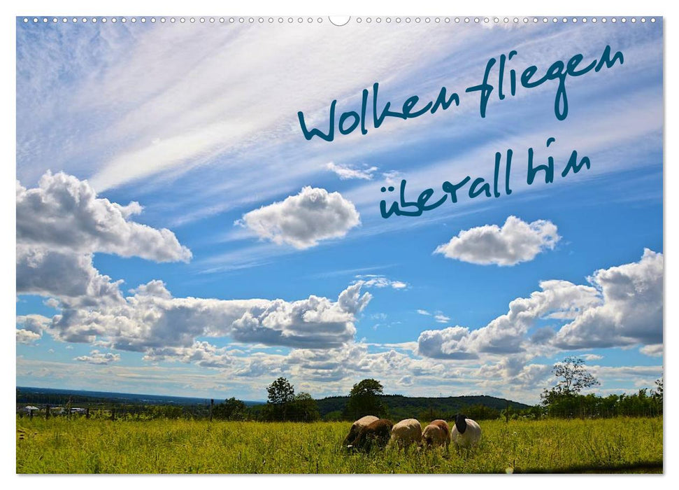 Wolken fliegen überall hin (CALVENDO Wandkalender 2025)