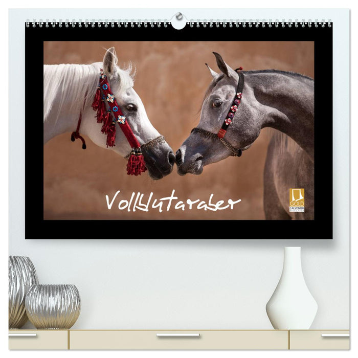 Vollblutaraber (CALVENDO Premium Wandkalender 2025)