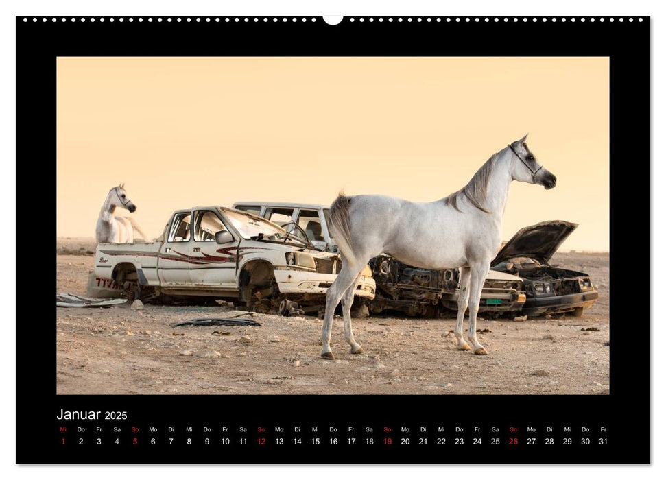 Vollblutaraber (CALVENDO Premium Wandkalender 2025)