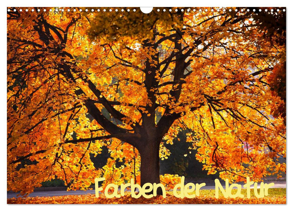 Farben der Natur (CALVENDO Wandkalender 2025)