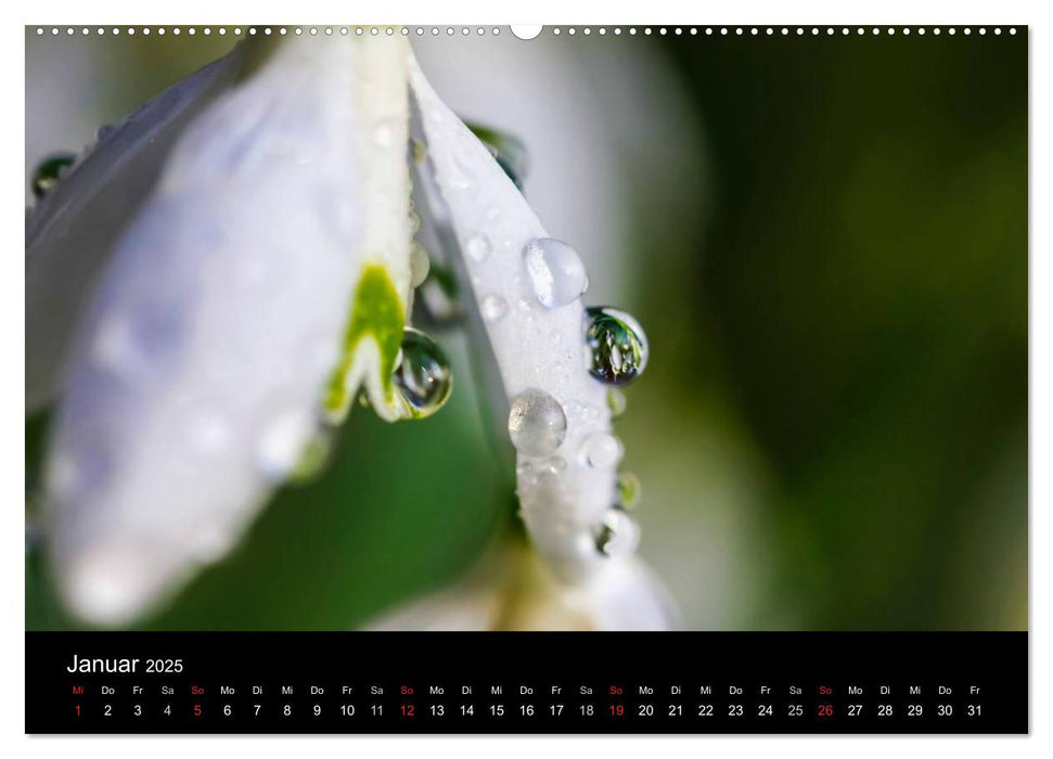 Wassertropfen (CALVENDO Premium Wandkalender 2025)