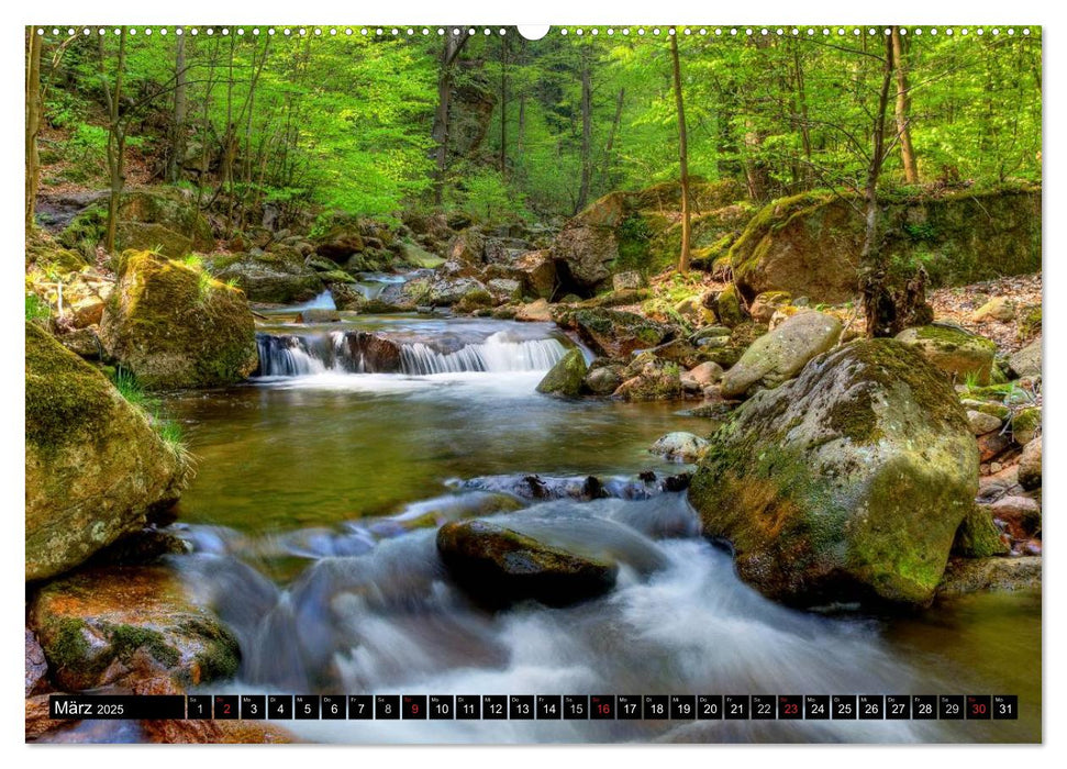 Harz Landschaften (CALVENDO Premium Wandkalender 2025)