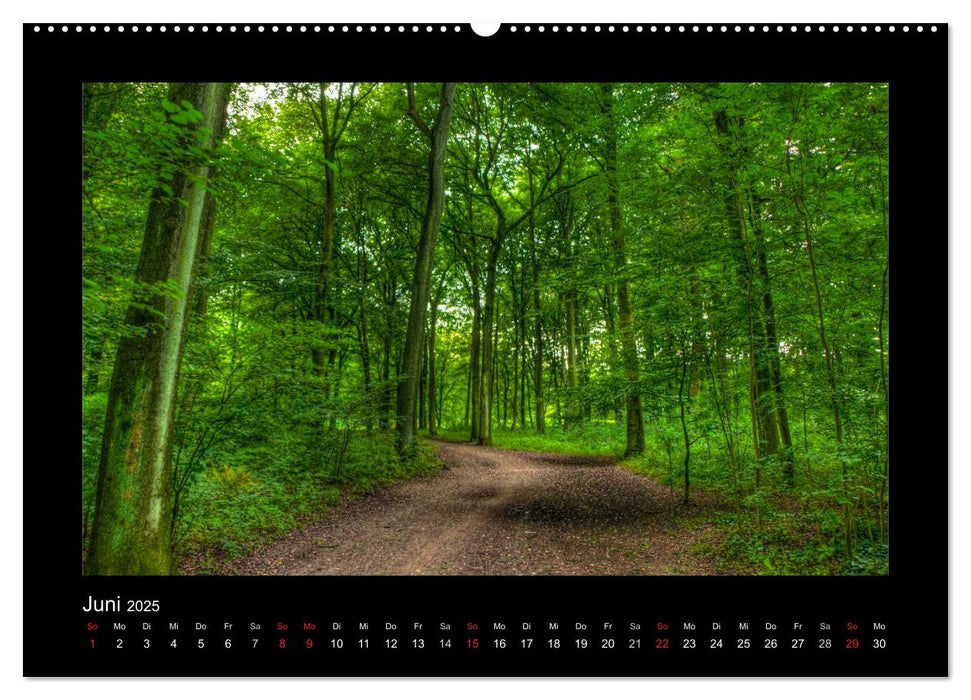 Landschaften im besonderen Licht (CALVENDO Premium Wandkalender 2025)