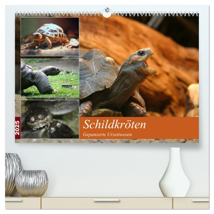 Schildkröten - Gepanzerte Urzeitwesen (CALVENDO Premium Wandkalender 2025)