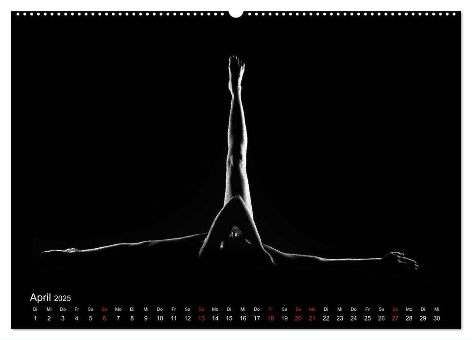 Kunstakt (CALVENDO Premium Wandkalender 2025)