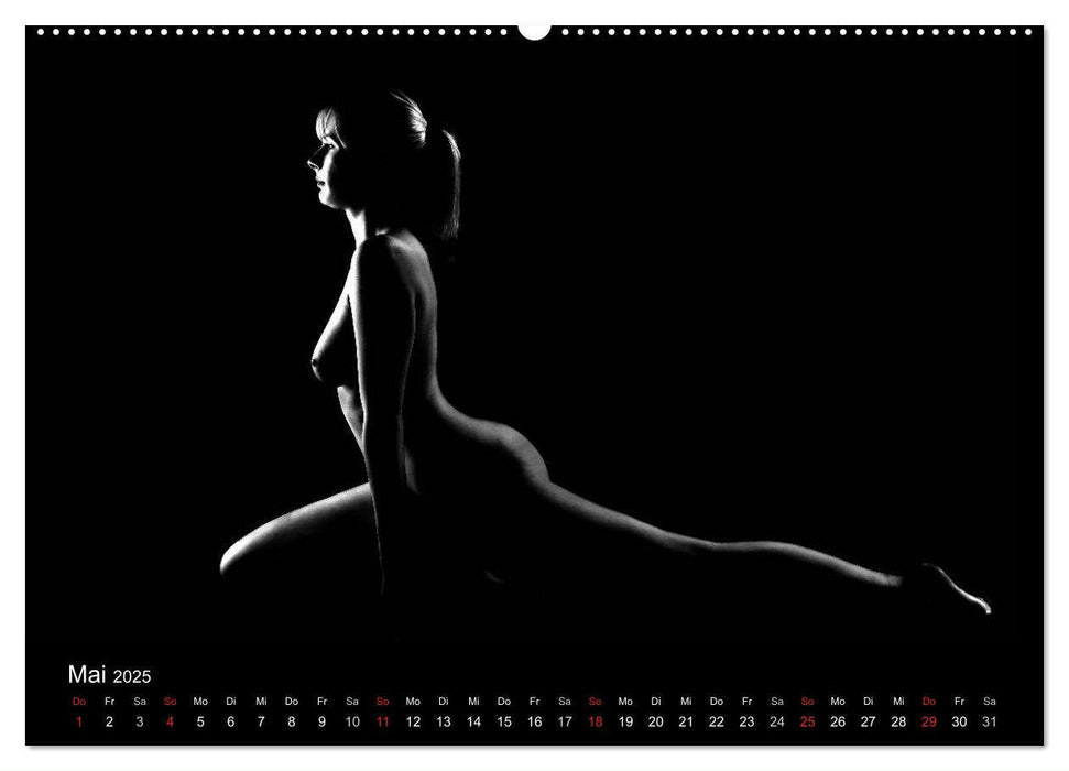 Kunstakt (CALVENDO Premium Wandkalender 2025)