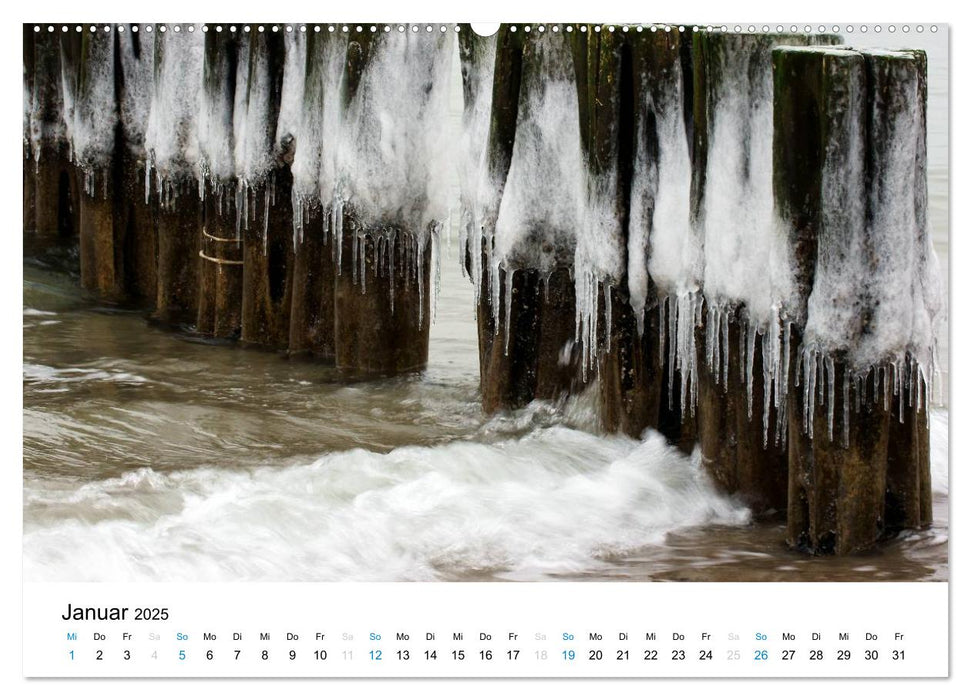 AQUA 2025 (CALVENDO Premium Wandkalender 2025)