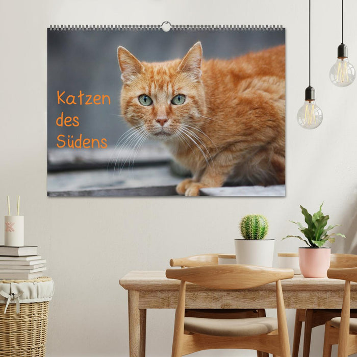 Katzen des Südens (CALVENDO Wandkalender 2025)