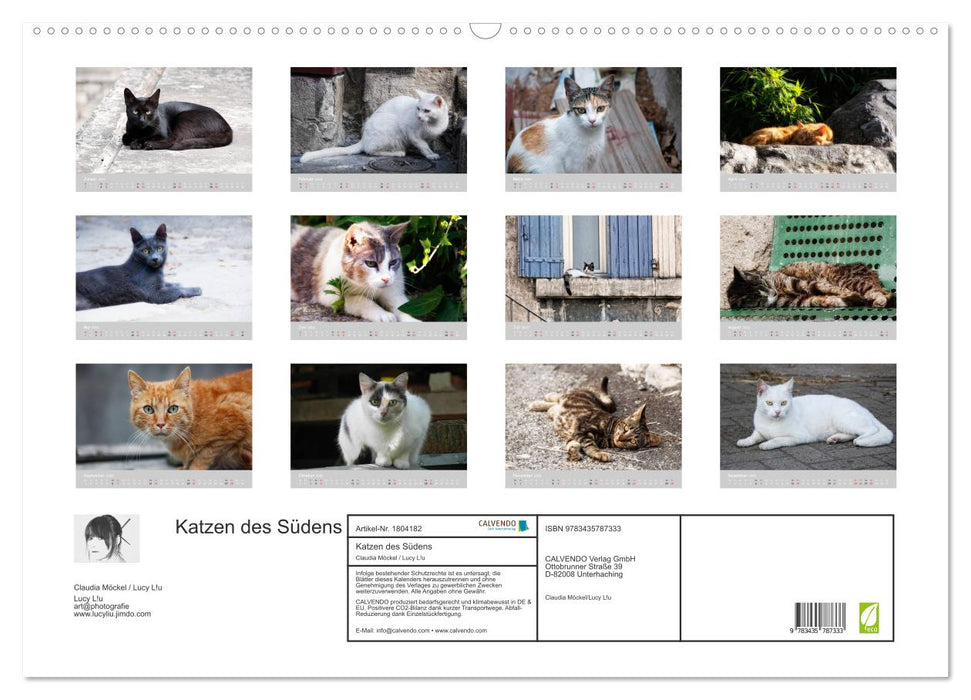 Katzen des Südens (CALVENDO Wandkalender 2025)