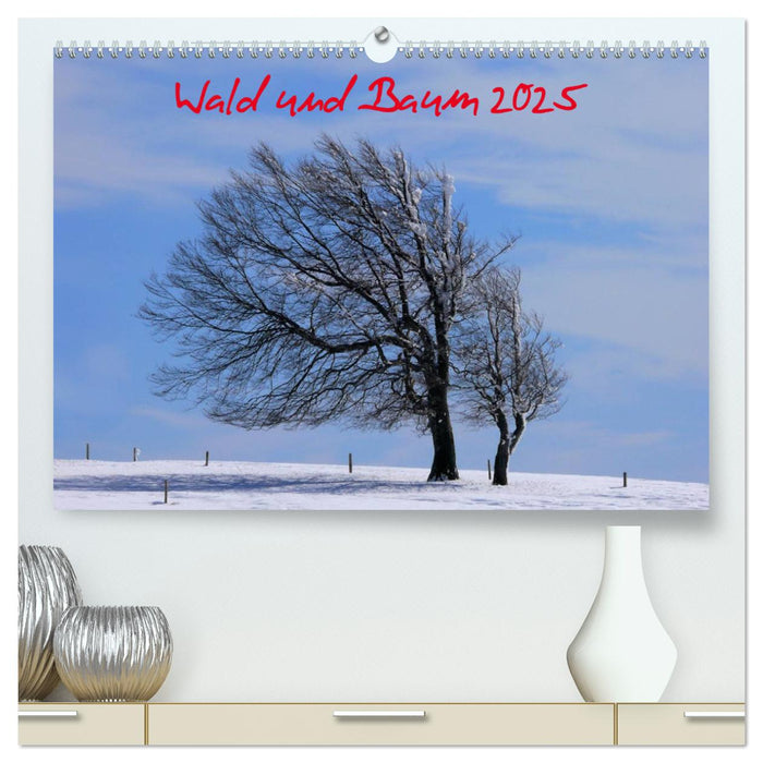 Wald und Baum 2025 (CALVENDO Premium Wandkalender 2025)