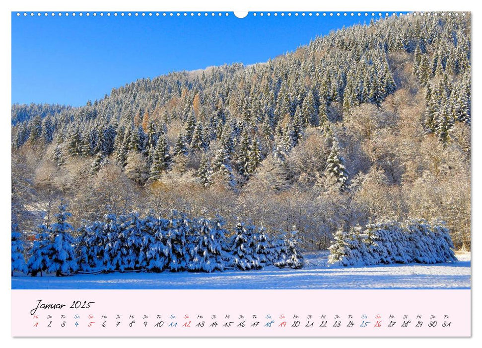 Wald und Baum 2025 (CALVENDO Premium Wandkalender 2025)