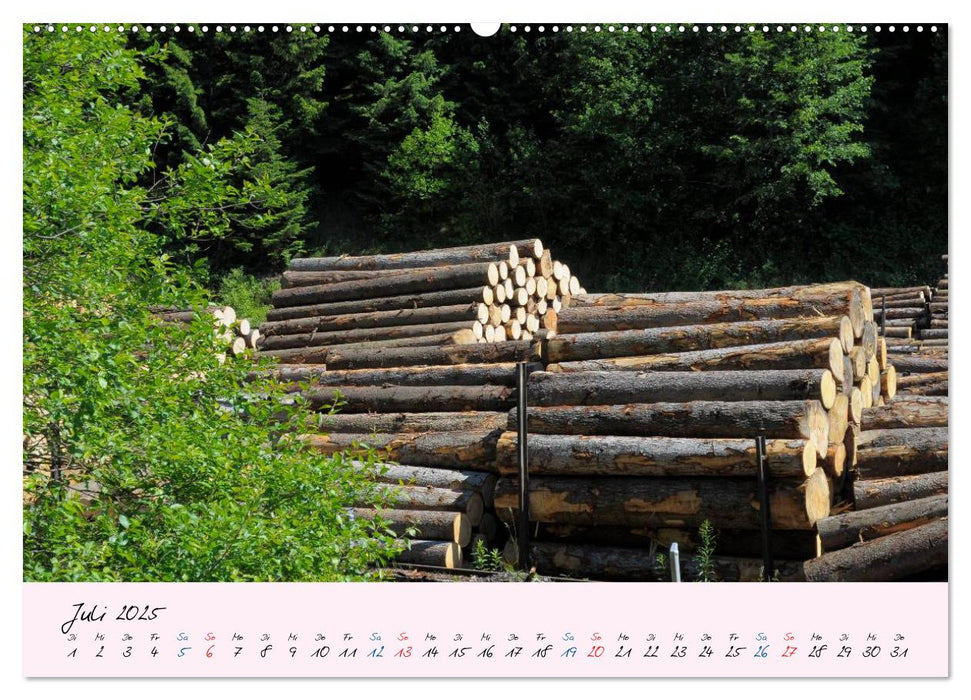 Wald und Baum 2025 (CALVENDO Premium Wandkalender 2025)