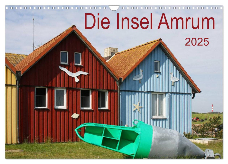 Die Insel Amrum (CALVENDO Wandkalender 2025)