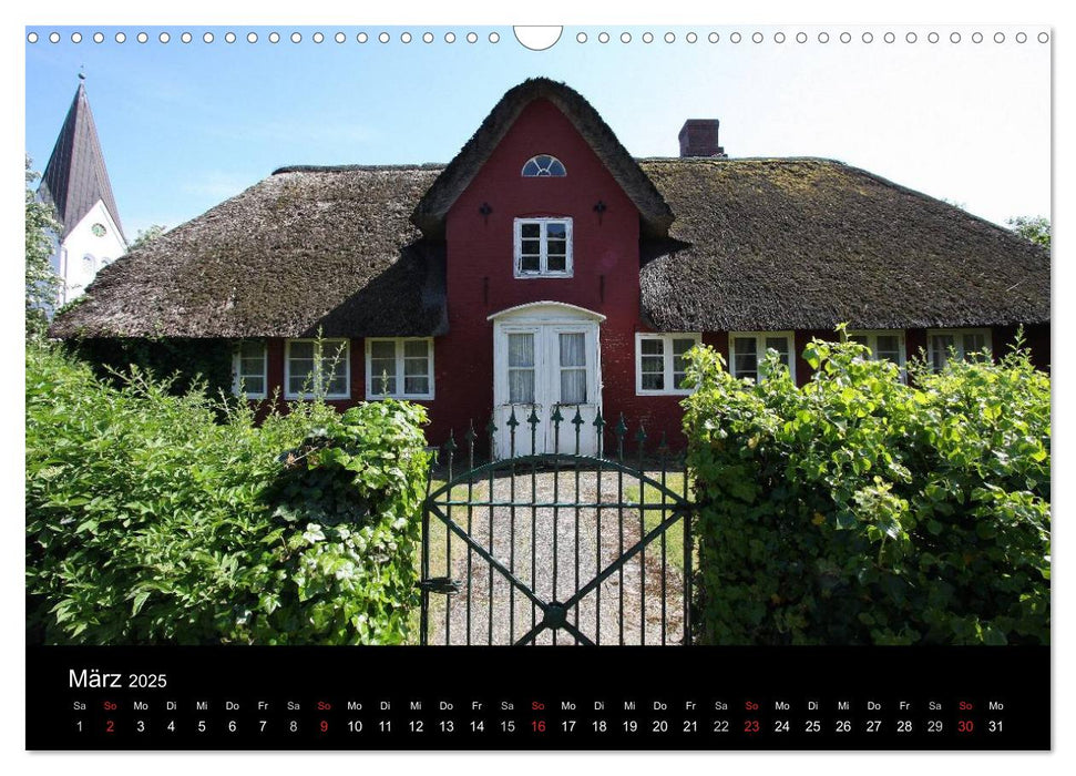 Die Insel Amrum (CALVENDO Wandkalender 2025)