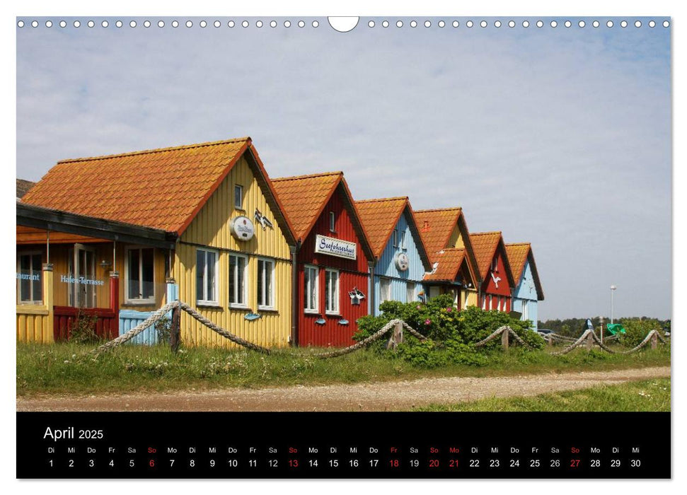 Die Insel Amrum (CALVENDO Wandkalender 2025)