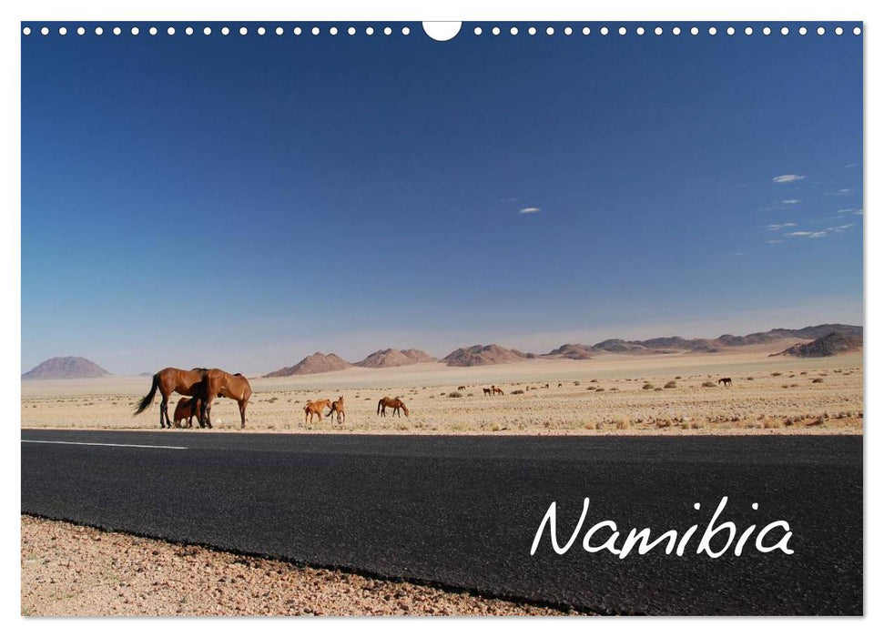 Namibia (CALVENDO Wandkalender 2025)