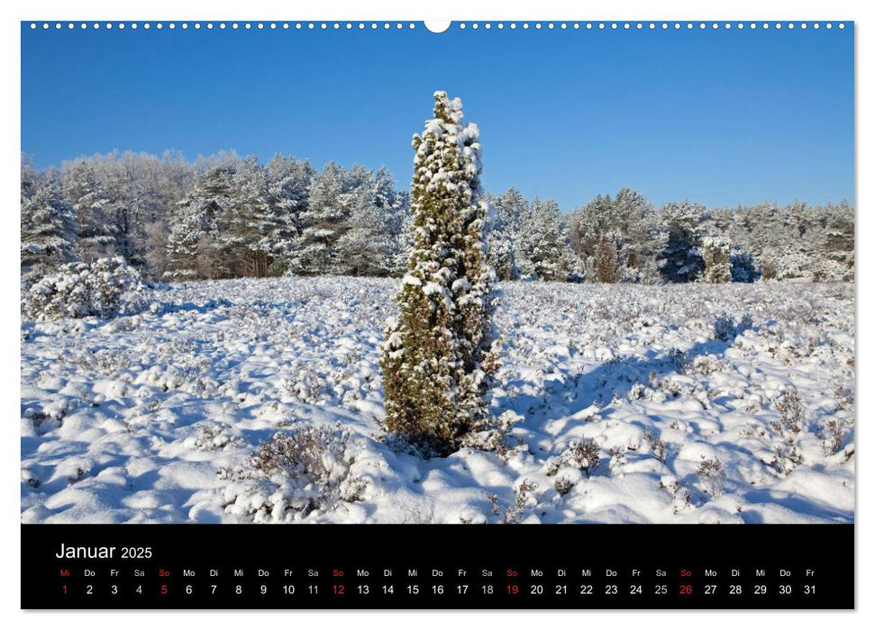 Hansestadt Lüneburg und Lüneburger Heide (CALVENDO Premium Wandkalender 2025)