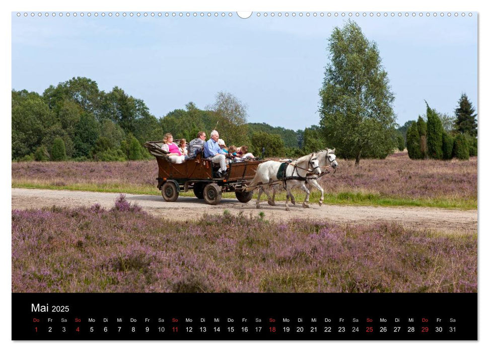 Hansestadt Lüneburg und Lüneburger Heide (CALVENDO Premium Wandkalender 2025)