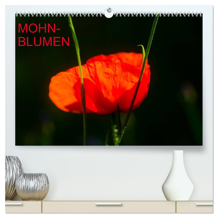 Mohnblumen (CALVENDO Premium Wandkalender 2025)