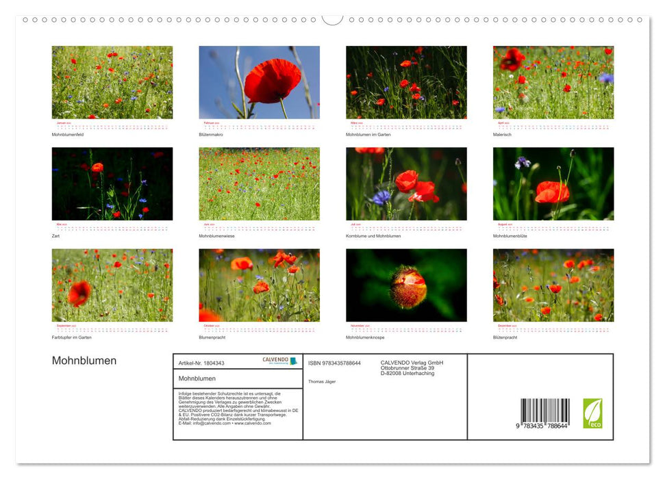 Mohnblumen (CALVENDO Premium Wandkalender 2025)