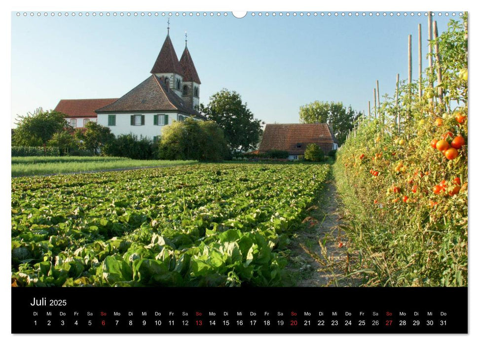 Ein Jahr am BODENSEE (CALVENDO Premium Wandkalender 2025)