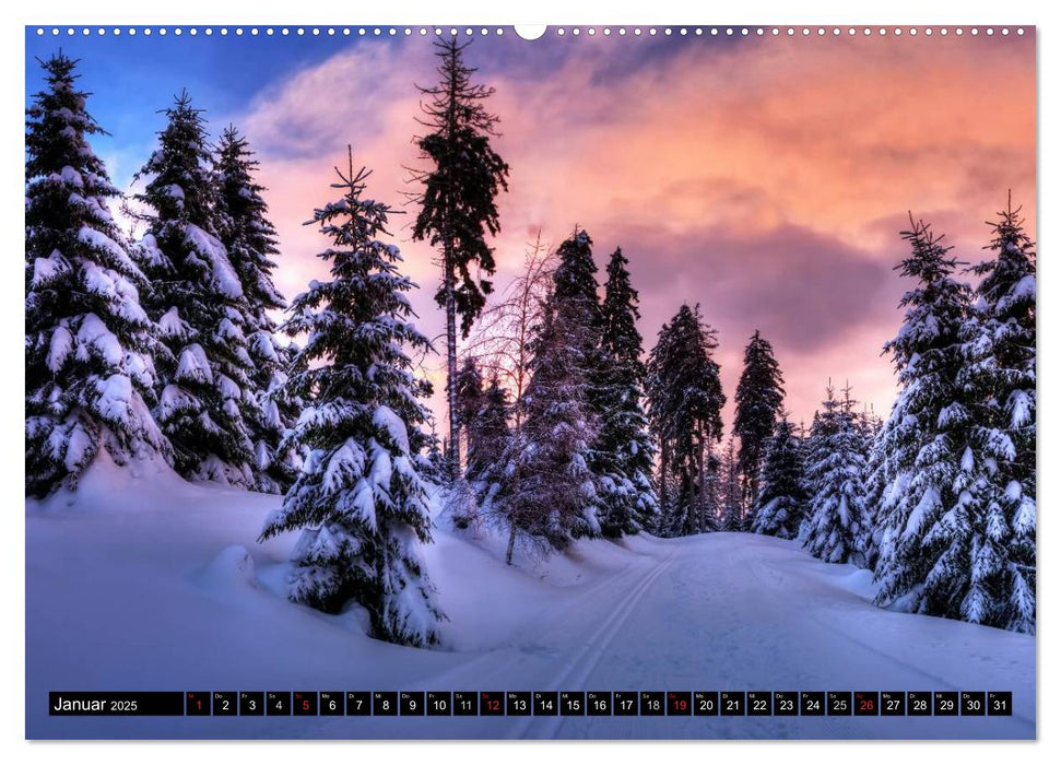 Harz Landschaften (CALVENDO Wandkalender 2025)