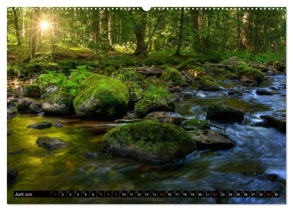 Harz Landschaften (CALVENDO Wandkalender 2025)