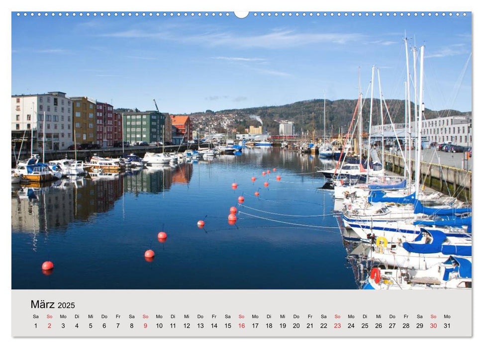Mit den Hurtigruten unterwegs (CALVENDO Premium Wandkalender 2025)