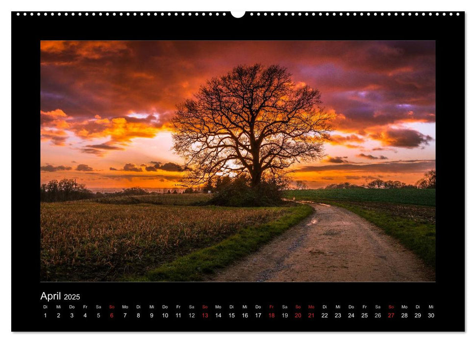 Landschaften im besonderen Licht (CALVENDO Wandkalender 2025)