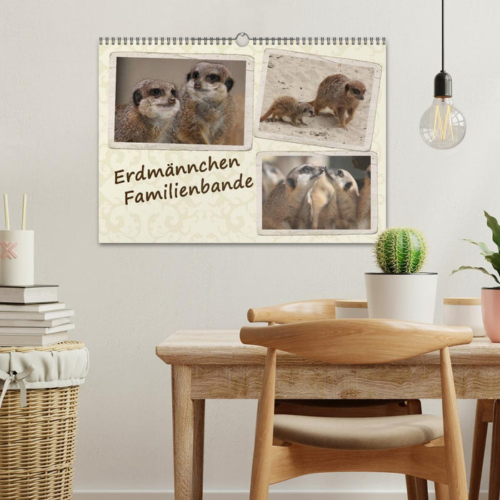 Erdmännchen Familienbande (CALVENDO Wandkalender 2025)