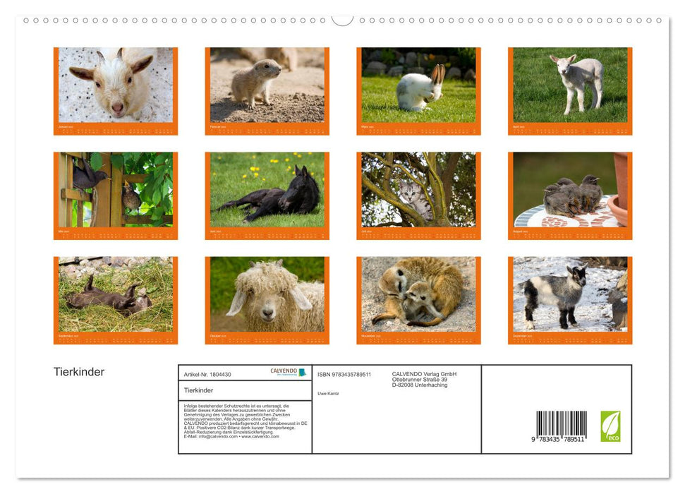 Tierkinder (CALVENDO Premium Wandkalender 2025)