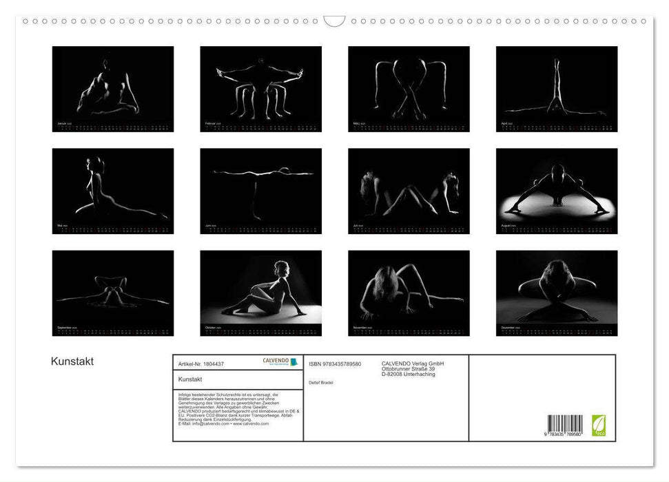 Kunstakt (CALVENDO Wandkalender 2025)