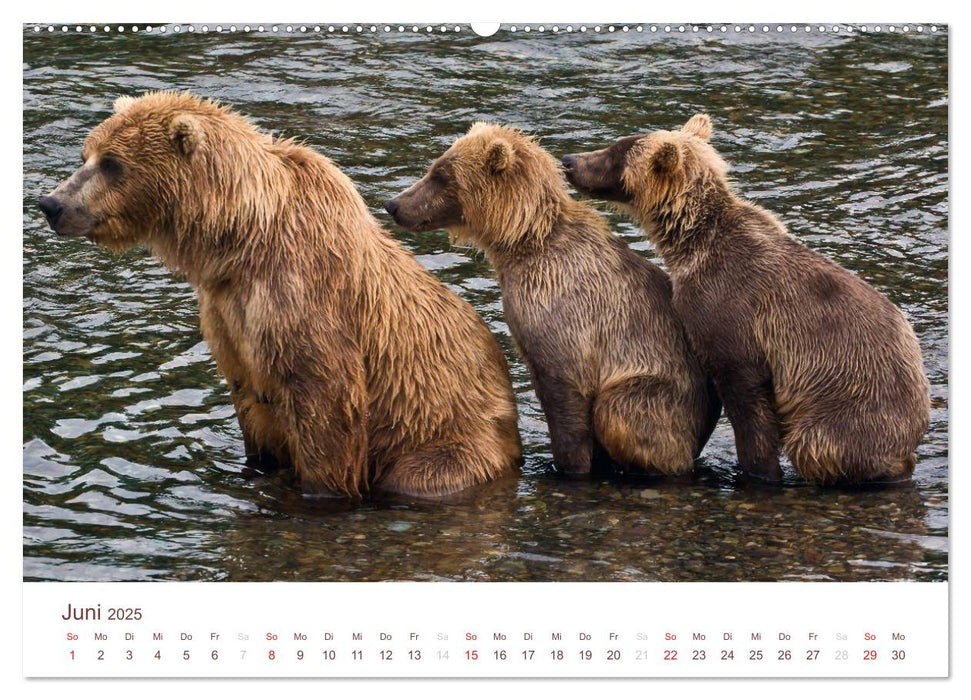 Der Alaska Kalender CH-Version (CALVENDO Premium Wandkalender 2025)