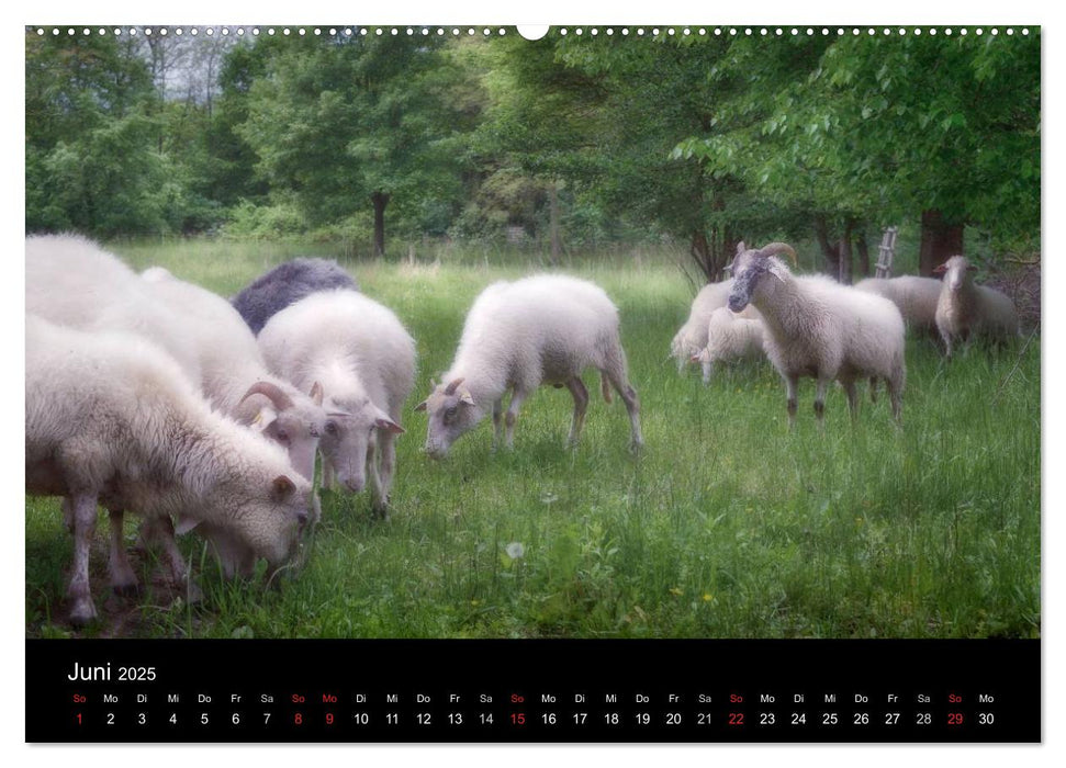 Märchenkulissen II (CALVENDO Premium Wandkalender 2025)