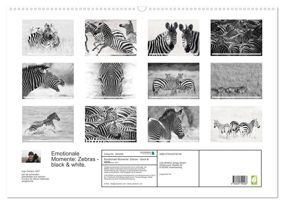 Emotionale Momente: Zebras - black & white. (CALVENDO Wandkalender 2025)