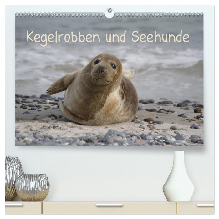 Kegelrobben und Seehunde (CALVENDO Premium Wandkalender 2025)