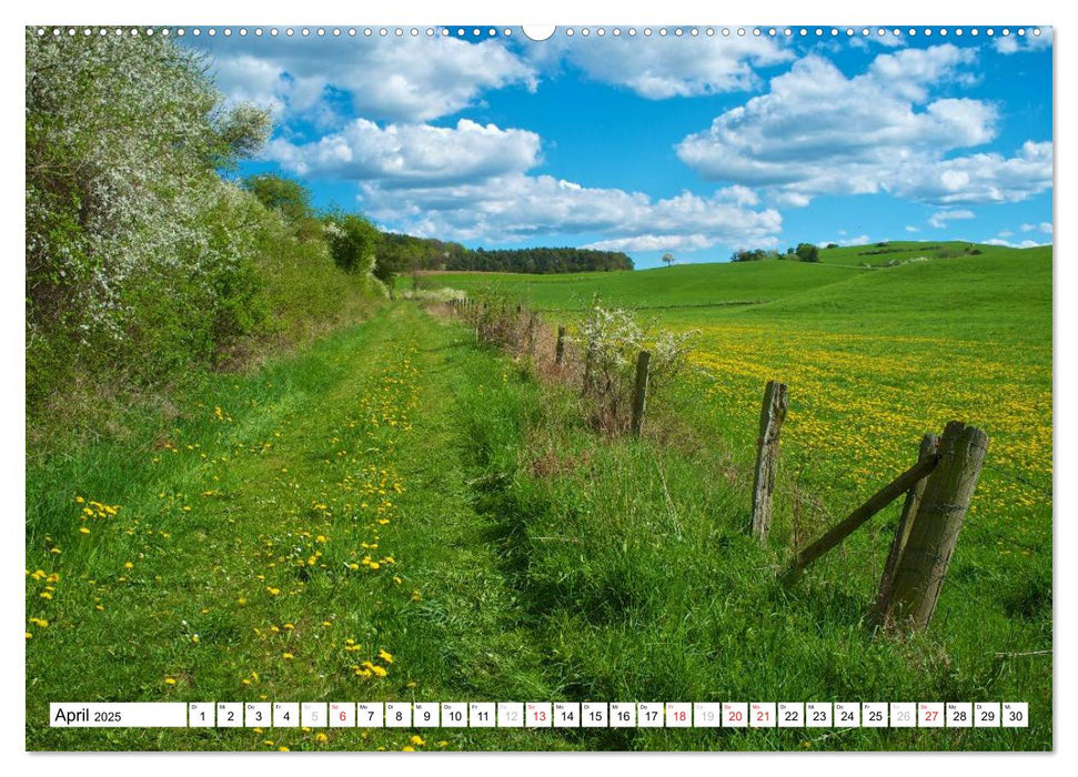 Traumhafte Wege durch die Eifel (CALVENDO Premium Wandkalender 2025)