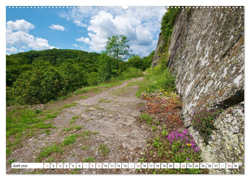 Traumhafte Wege durch die Eifel (CALVENDO Premium Wandkalender 2025)