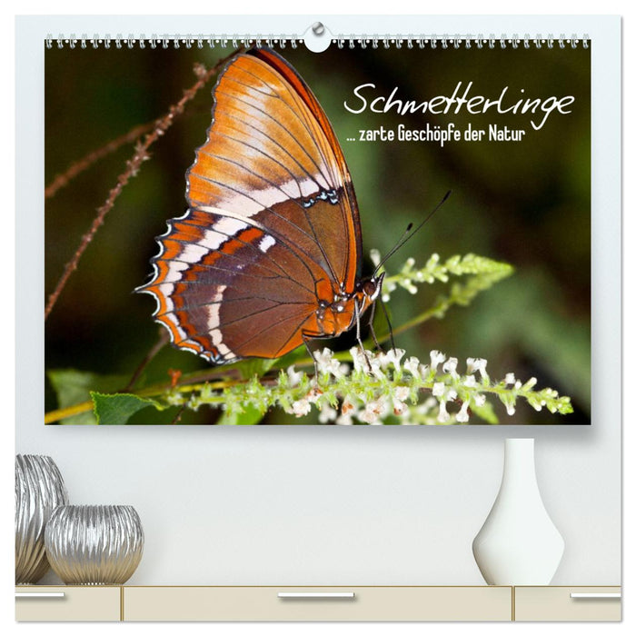 Schmetterlinge - zarte Geschöpfe der Natur (CALVENDO Premium Wandkalender 2025)